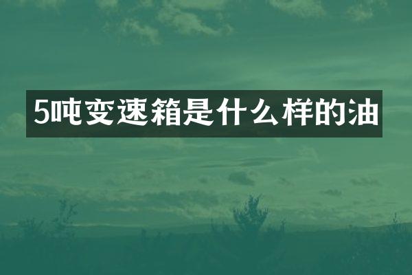 5吨变速箱是什么样的油