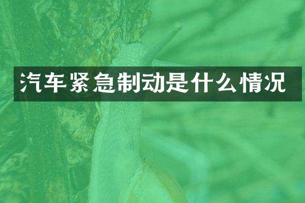 汽车紧急制动是什么情况