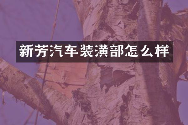 新芳汽车装潢部怎么样
