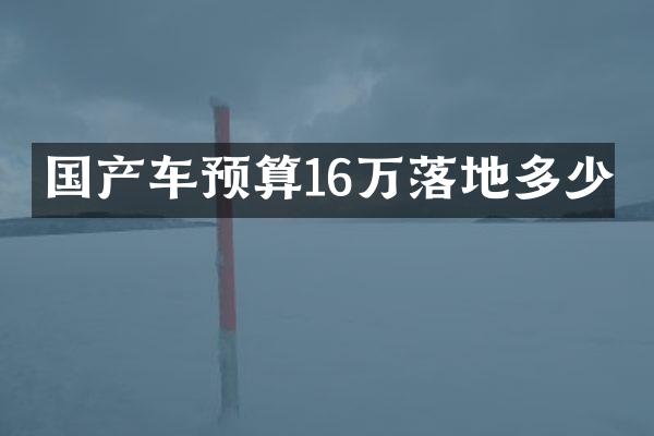国产车预算16万落地多少