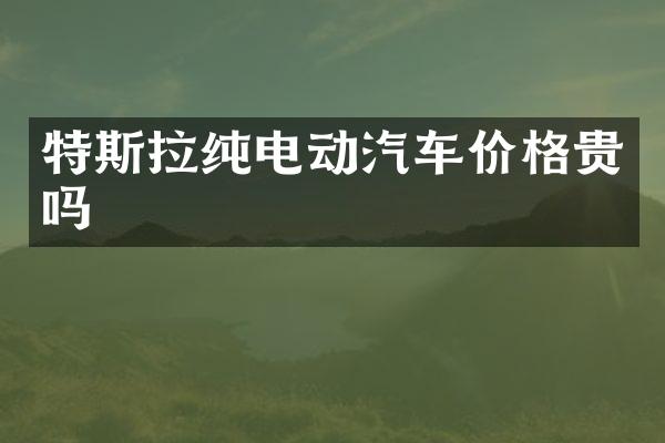 特斯拉纯电动汽车价格贵吗
