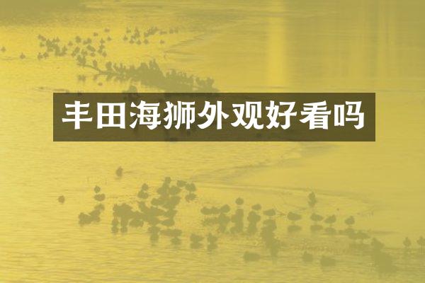 丰田海狮外观好看吗