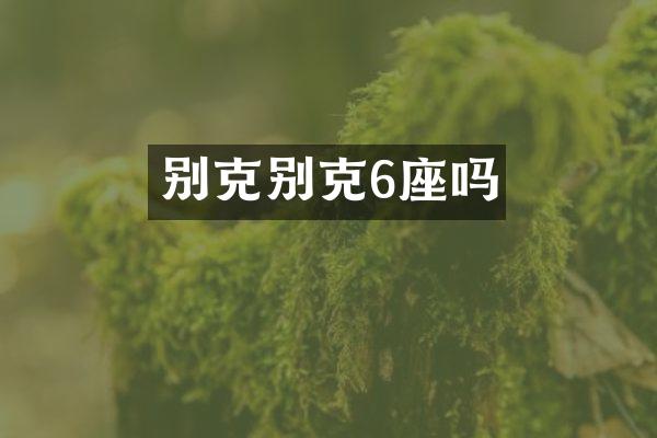 别克别克6座吗