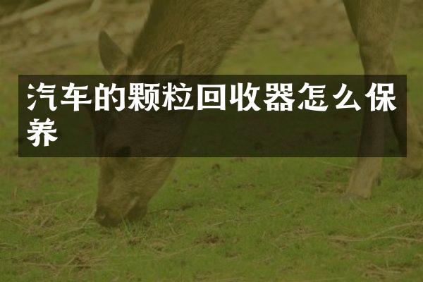 汽车的颗粒回收器怎么保养