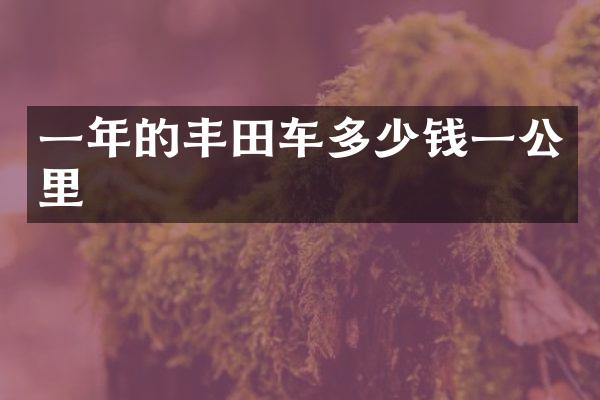 一年的丰田车多少钱一公里