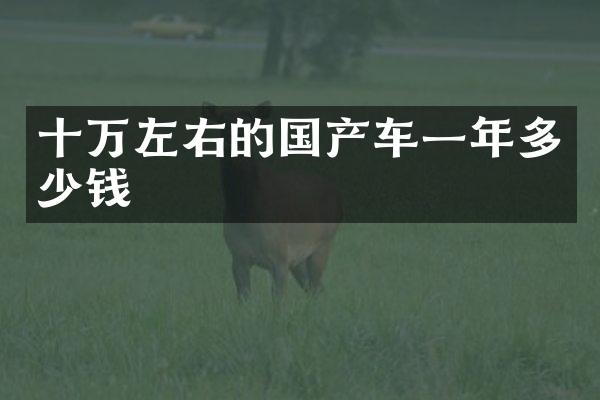 十万左右的国产车一年多少钱
