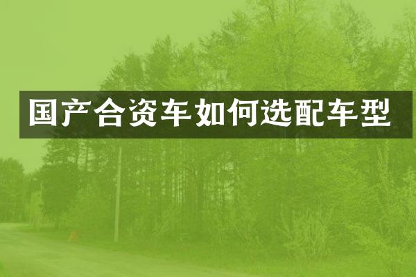 国产合资车如何选配车型