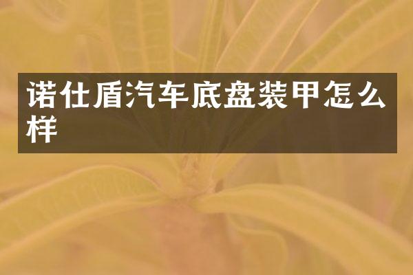 诺仕盾汽车底盘装甲怎么样