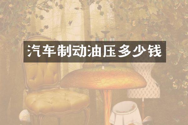 汽车制动油压多少钱
