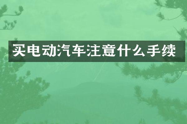 买电动汽车注意什么手续