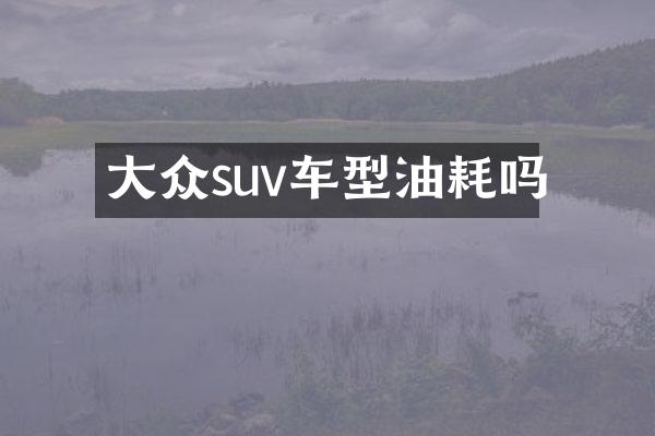 大众suv车型油耗吗