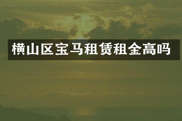 横山区宝马租赁租金高吗