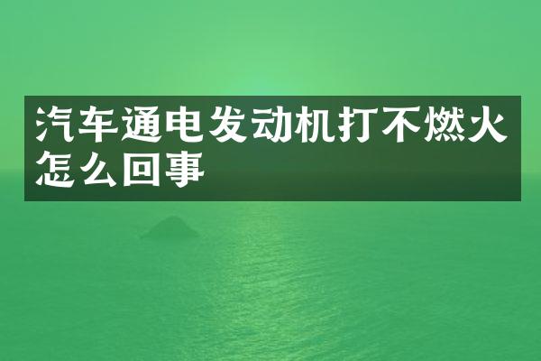汽车通电发动机打不燃火怎么回事
