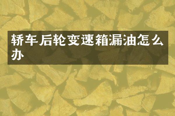轿车后轮变速箱漏油怎么办