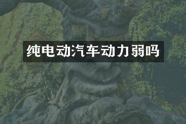 纯电动汽车动力弱吗
