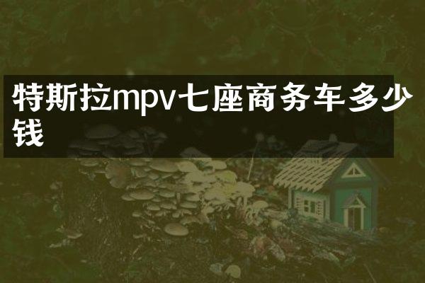 特斯拉mpv七座商务车多少钱