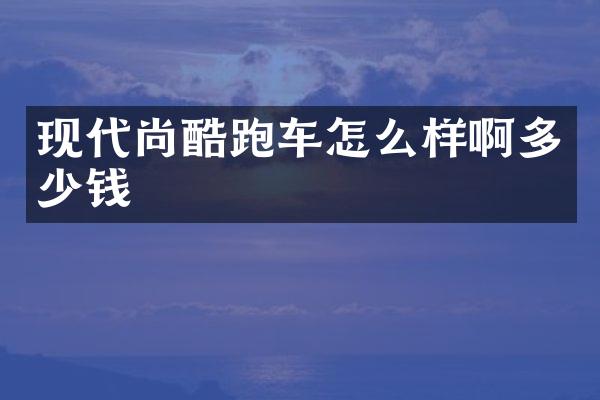 现代尚酷跑车怎么样啊多少钱