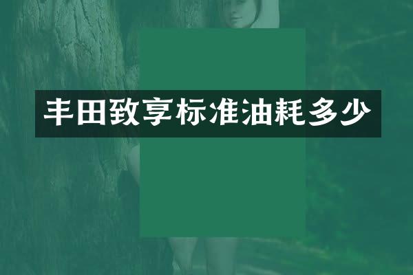 丰田致享标准油耗多少