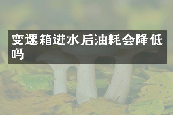 变速箱进水后油耗会降低吗