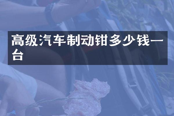 高级汽车制动钳多少钱一台