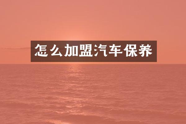 怎么加盟汽车保养