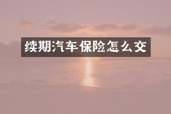 续期汽车保险怎么交