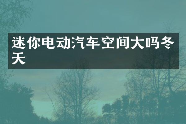 迷你电动汽车空间大吗冬天