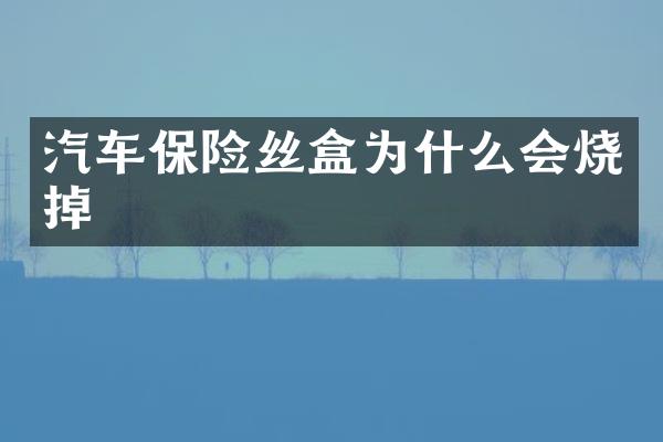 汽车保险丝盒为什么会烧掉