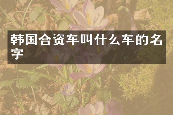 韩国合资车叫什么车的名字