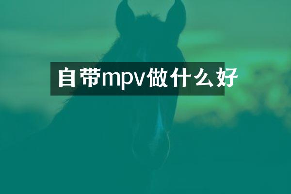 自带mpv做什么好