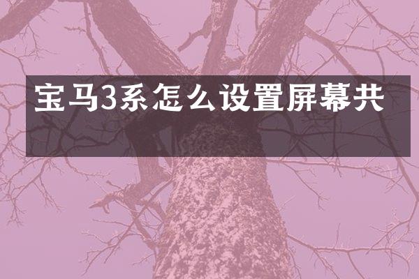 宝马3系怎么设置屏幕共享