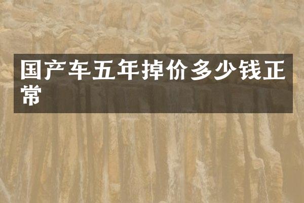 国产车五年掉价多少钱正常
