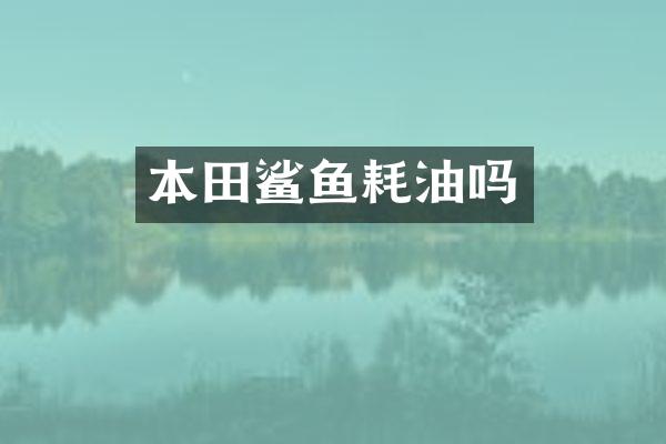 本田鲨鱼耗油吗