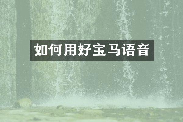 如何用好宝马语音