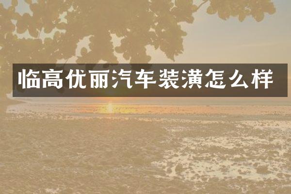 临高优丽汽车装潢怎么样