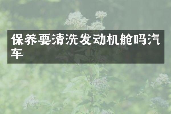 保养要清洗发动机舱吗汽车