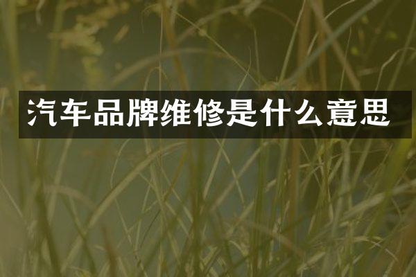 汽车品牌维修是什么意思