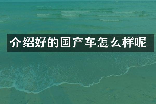 介绍好的国产车怎么样呢