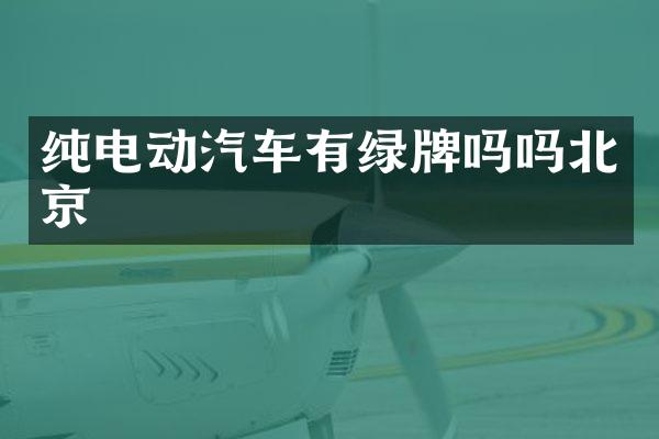 纯电动汽车有绿牌吗吗北京