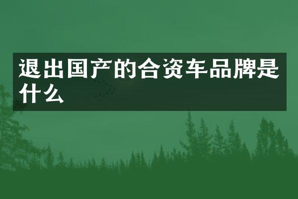 退出国产的合资车品牌是什么