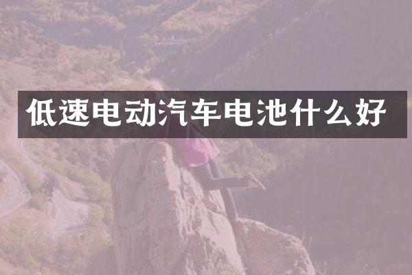 低速电动汽车电池什么好