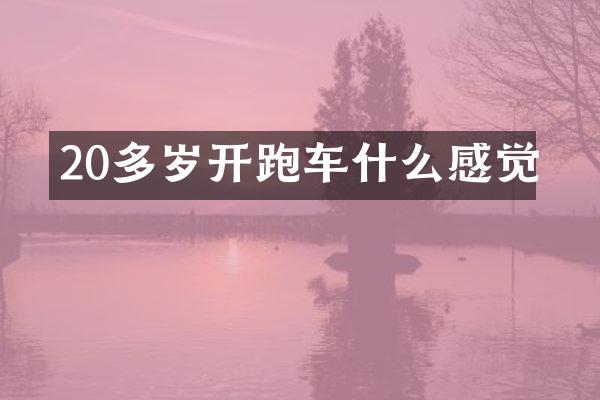20多岁开跑车什么感觉