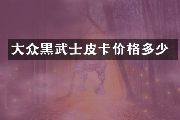 大众黑武士皮卡价格多少