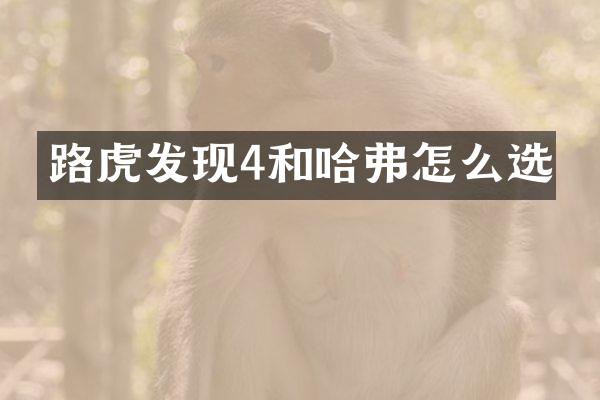 路虎发现4和哈弗怎么选