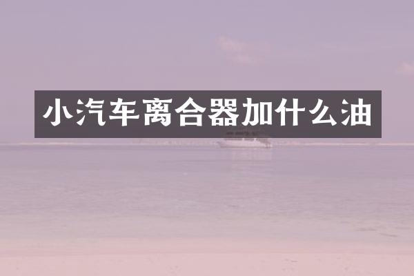 小汽车离合器加什么油
