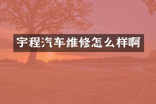 宇程汽车维修怎么样啊