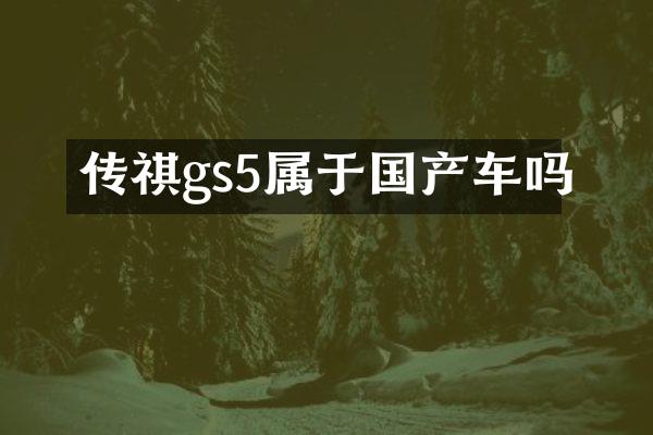 传祺gs5属于国产车吗