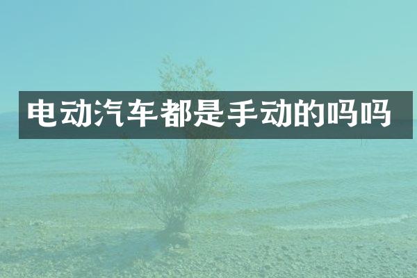 电动汽车都是手动的吗吗