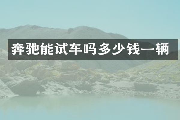 奔驰能试车吗多少钱一辆