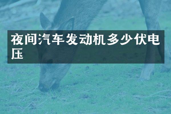 夜间汽车发动机多少伏电压